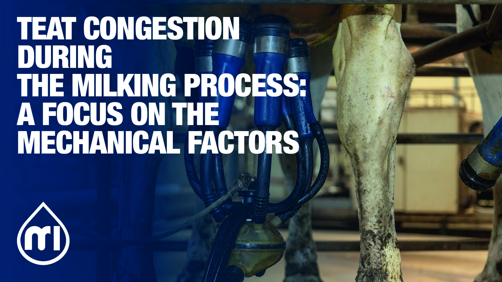 Teat congestion during the milking process: a focus on the mechanical factors